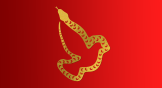 A snake making the shape of a dove