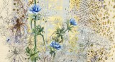 Mixed media painting of chicory flowers.