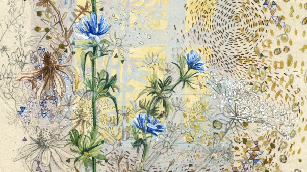 Mixed media painting of chicory flowers.