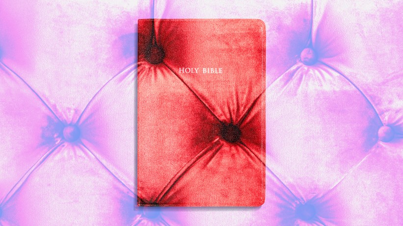 A Bible with a soft cushion texture.